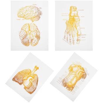6 Vnt Dekoro Sienos Anatomija Minimalistinio Plakato Nuotrauką Ligoninės Dovanos Drobės Paveikslai Biuras
